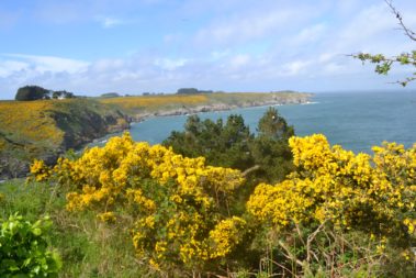 ARZIC Belle-Ile-en-mer