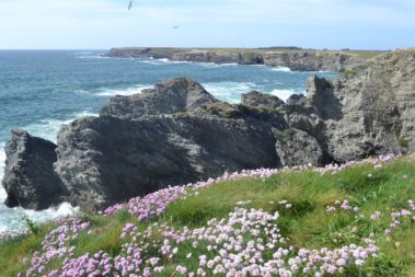 DONNANT Belle-Ile-en-mer