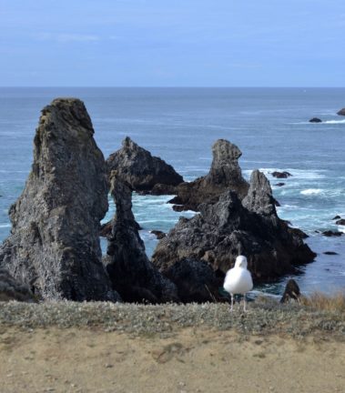 PORT COTON Belle-Ile-en-mer